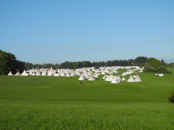 Weites Tipi-Lager mit zahlreichen weißen Tipis auf einer Wiese